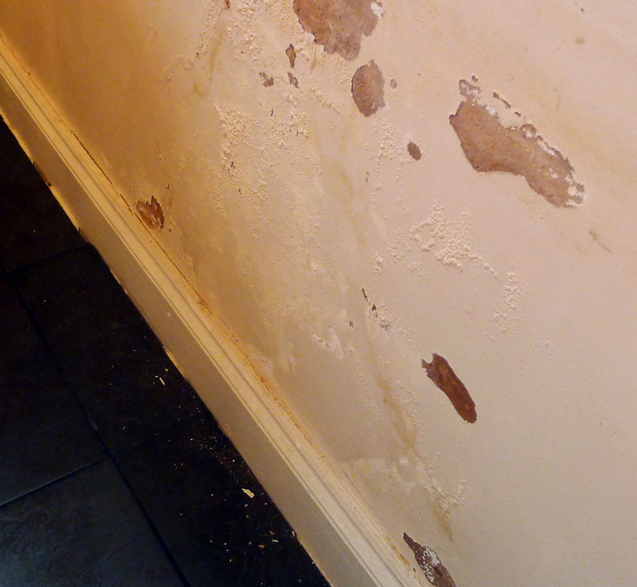 Moulding Damp Wall
